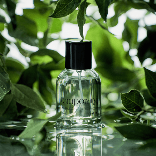 yog'ochsimon bodring eau de parfyum